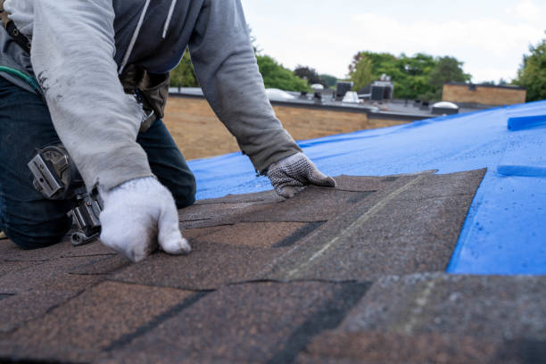 Best Emergency Roof Repair  in South Haven, IN