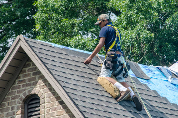 Best Storm Damage Roof Repair  in South Haven, IN